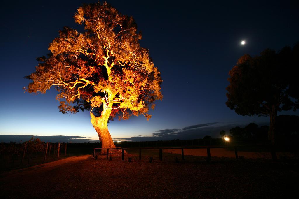 Highbank Country Accommodation Coonawarra Δωμάτιο φωτογραφία