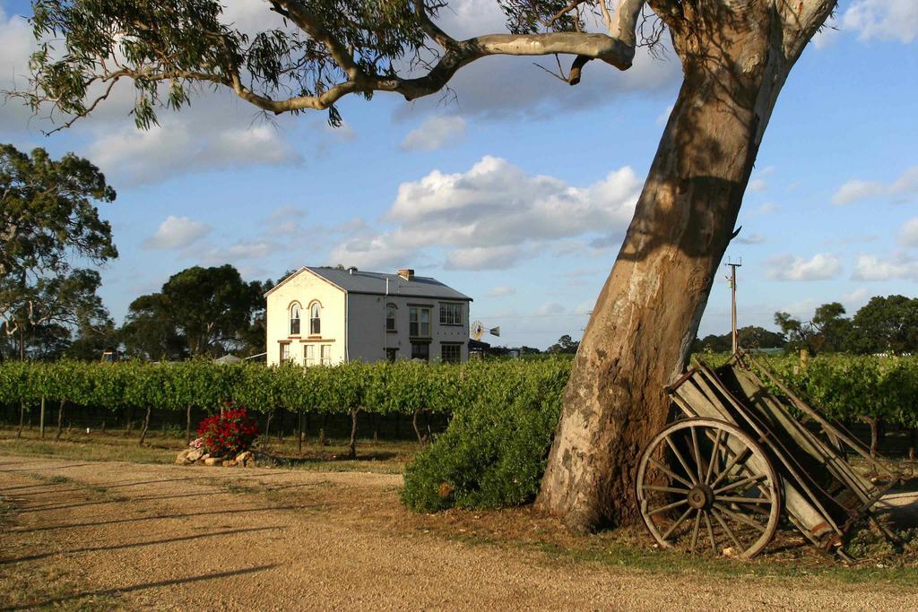 Highbank Country Accommodation Coonawarra Εξωτερικό φωτογραφία