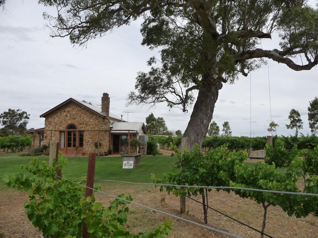 Highbank Country Accommodation Coonawarra Εξωτερικό φωτογραφία
