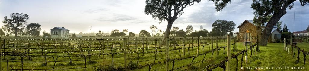 Highbank Country Accommodation Coonawarra Εξωτερικό φωτογραφία