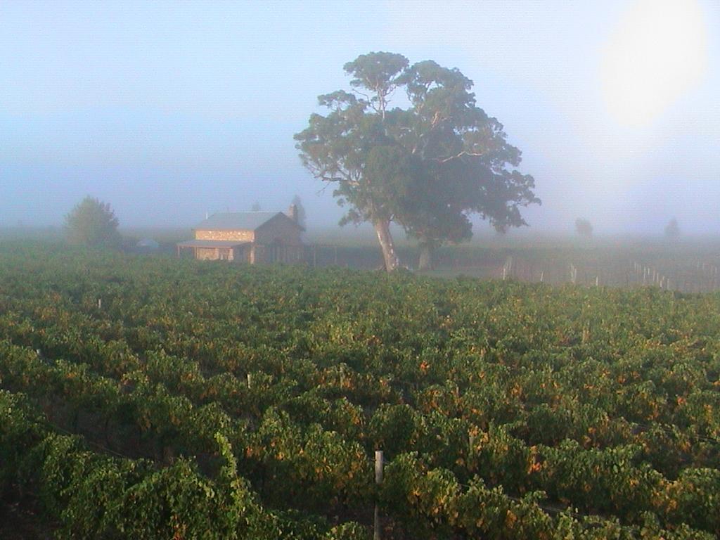 Highbank Country Accommodation Coonawarra Εξωτερικό φωτογραφία