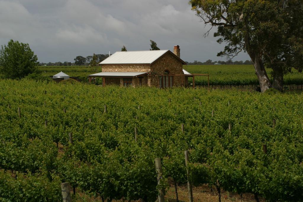 Highbank Country Accommodation Coonawarra Εξωτερικό φωτογραφία